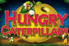 Hungry Caterpillars